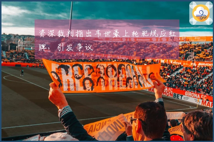 资深裁判指出韦世豪上轮犯规应红牌，引发争议