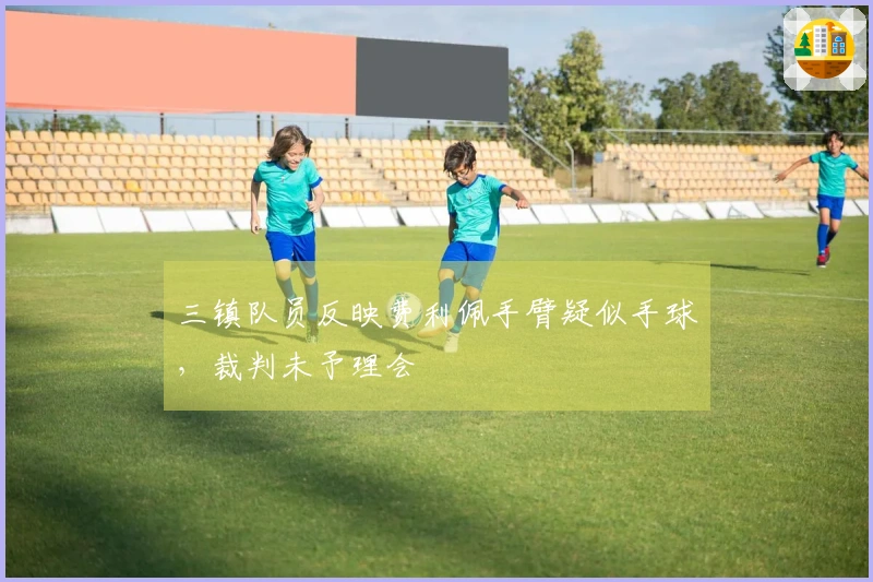 三镇队员反映费利佩手臂疑似手球，裁判未予理会