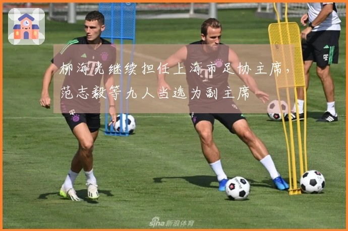 柳海光继续担任上海市足协主席，范志毅等九人当选为副主席