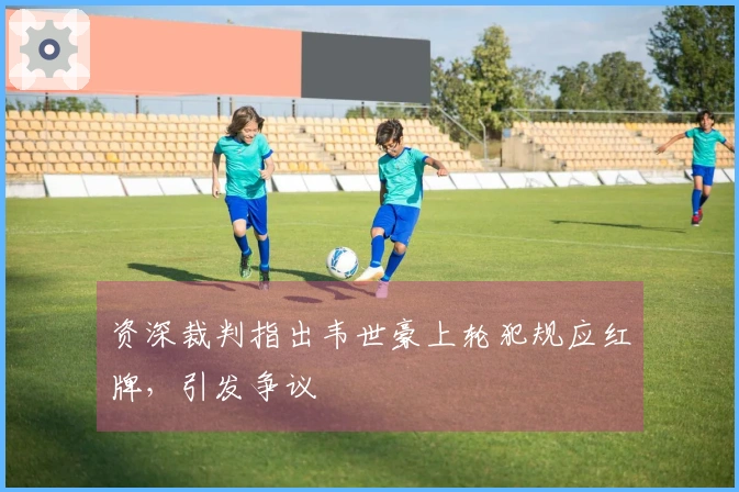 资深裁判指出韦世豪上轮犯规应红牌，引发争议